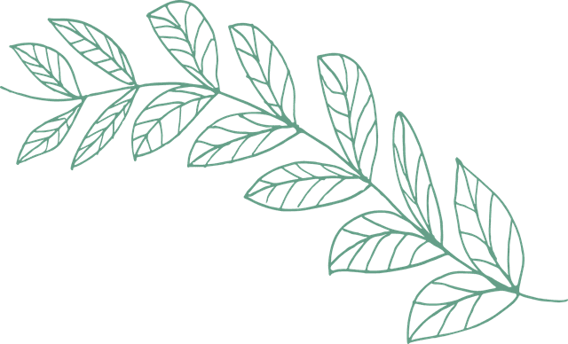 Decorative leaves top right